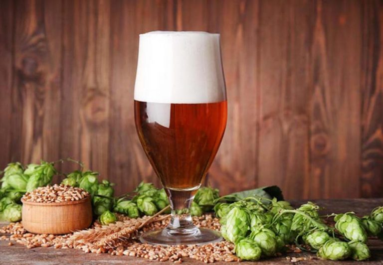 SRPSKO KRAFT PIVO: 4 najtraženija domaća piva - Beer Style