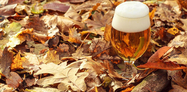 pivo i jesen